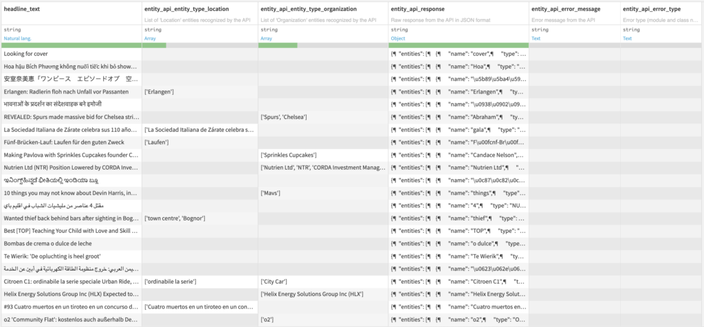 Named Entity Recognition Output Dataset