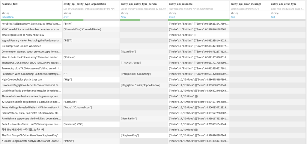 Named Entity Recognition Output Dataset