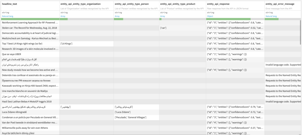 Named Entity Recognition Output Dataset