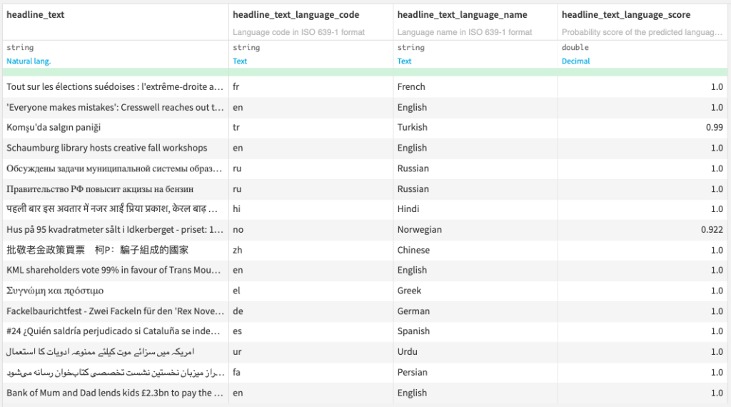 Language Detection Output Dataset