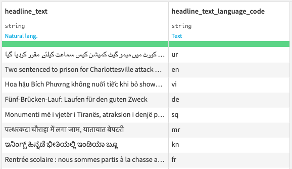 Multilingual Input Dataset Example