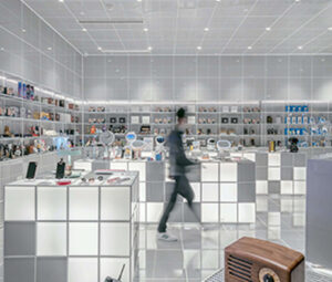 Dataiku Retail